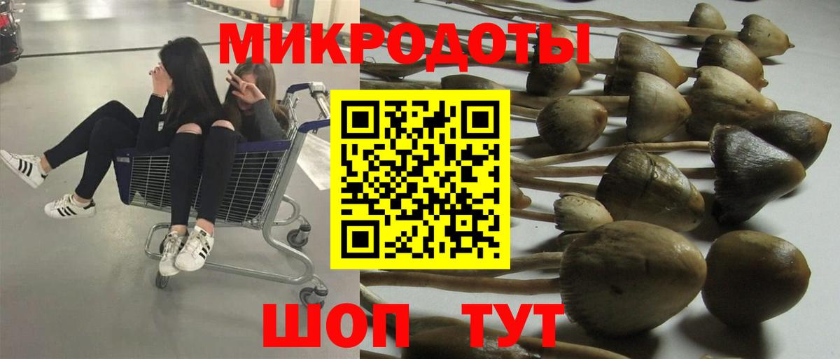 как найти наркотики  Вход с VPN  Галлюциногенные грибы Magic Shrooms  Кизилюрт  Псилоцибиновые грибы MAGIC MUSHROOMS 